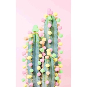 Puzzle cactus 200 piese